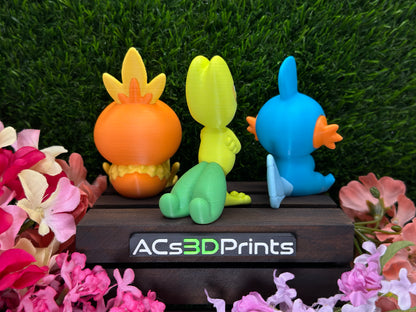 Hoenn Starters Trio Pokemon Set, 3D Printed Mudkip Torchic Treecko Collectible